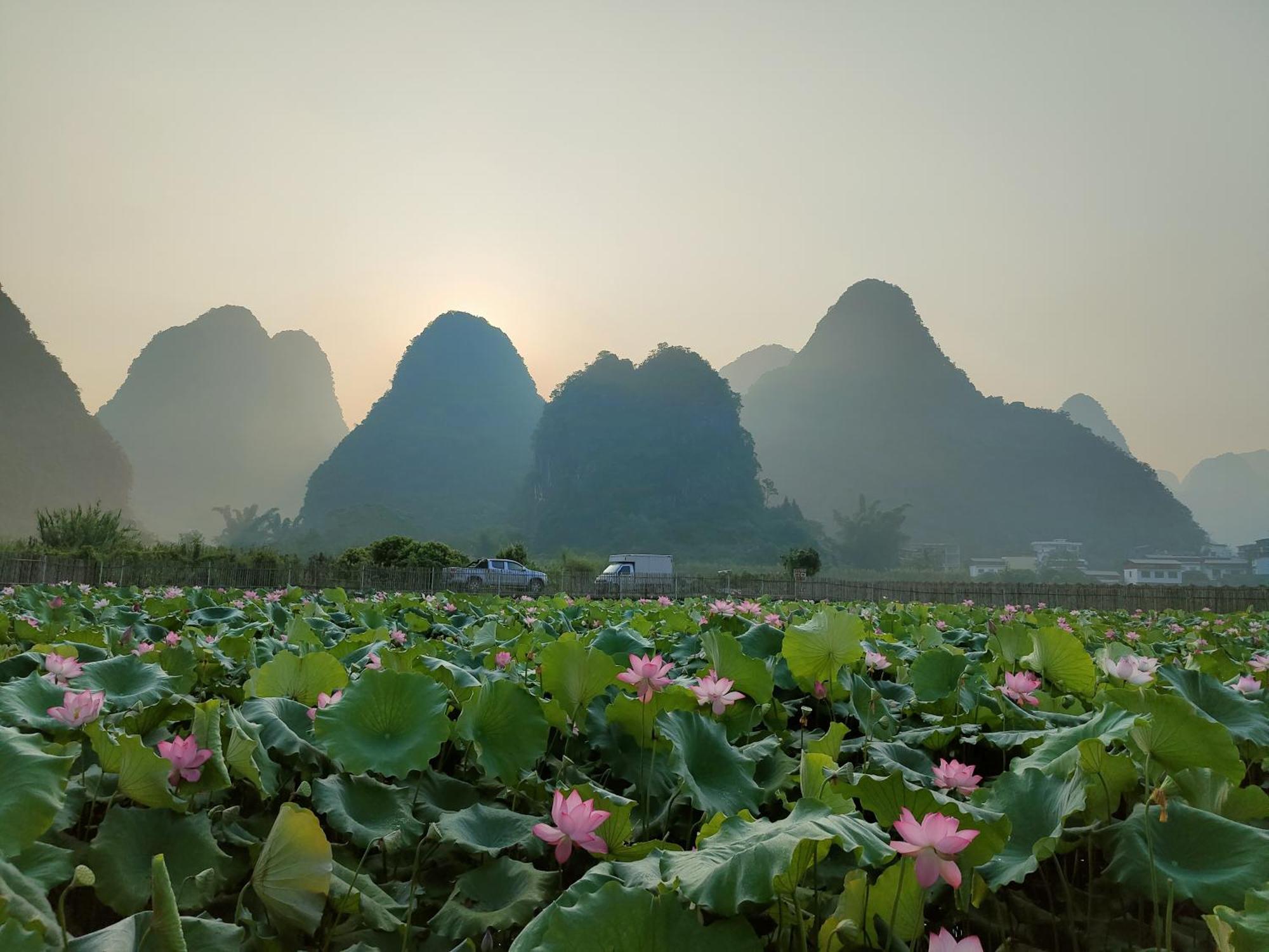 Гостьовий будинок Yangshuo Tea Cozy--One Way Free Pick Up From Airport Or Ts 4 Nights Екстер'єр фото