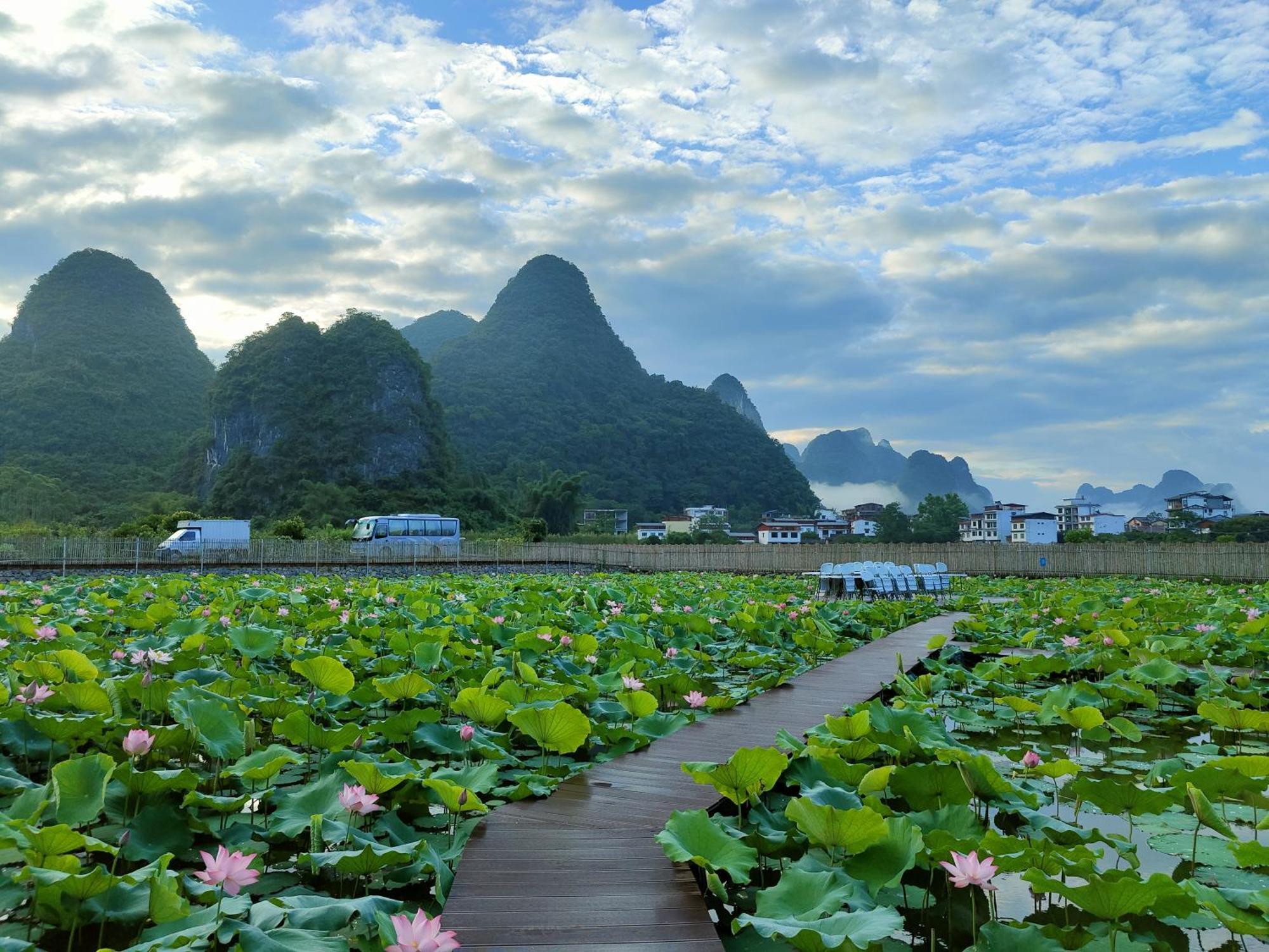 Гостьовий будинок Yangshuo Tea Cozy--One Way Free Pick Up From Airport Or Ts 4 Nights Екстер'єр фото